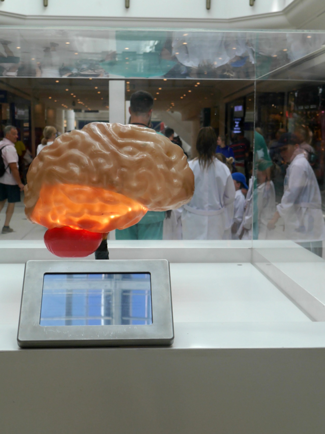 Giant brain at Heads, Shoulders. Knees and Toes at The Glades