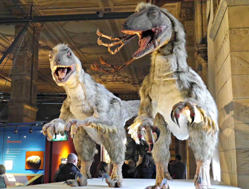Dinosaurs at the Natural History Museum