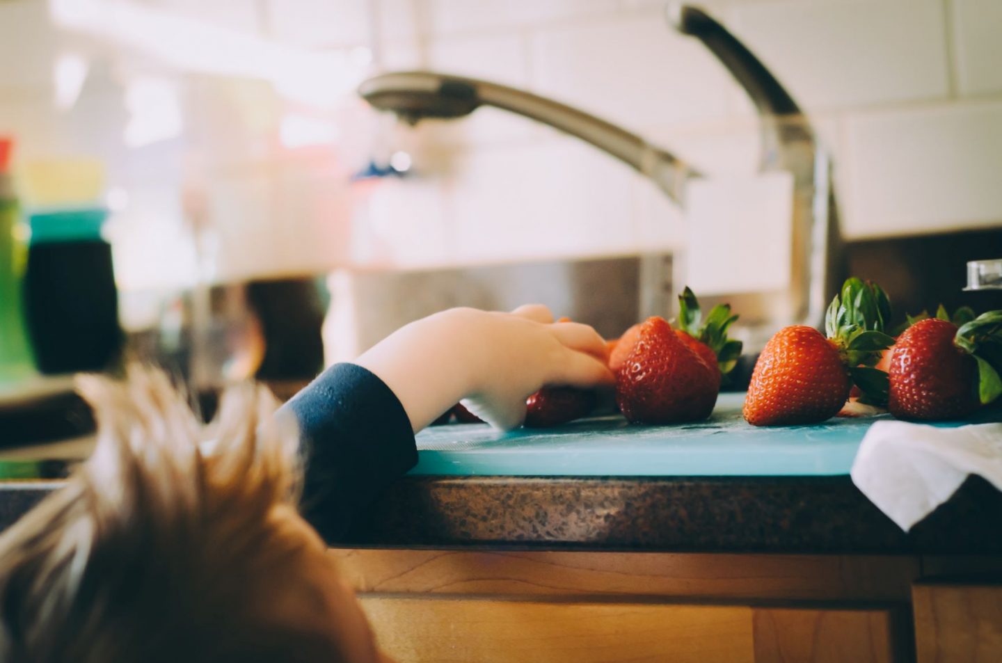 Healthy meal ideas for fussy eaters in your family and children 