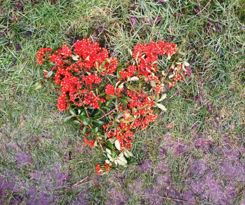 Crafty hearts in the garden