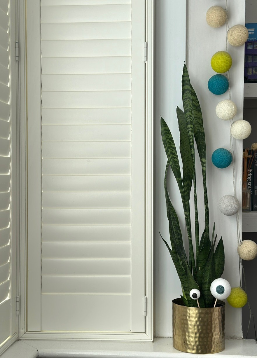 Making googly eyes for plants