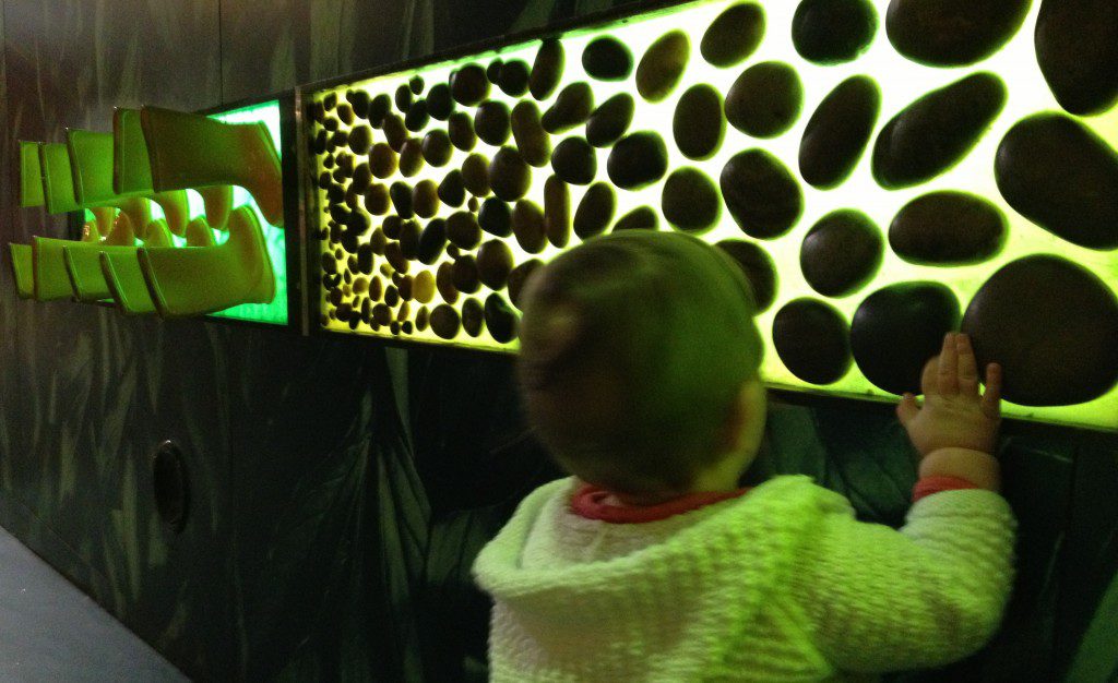 The Science Museum