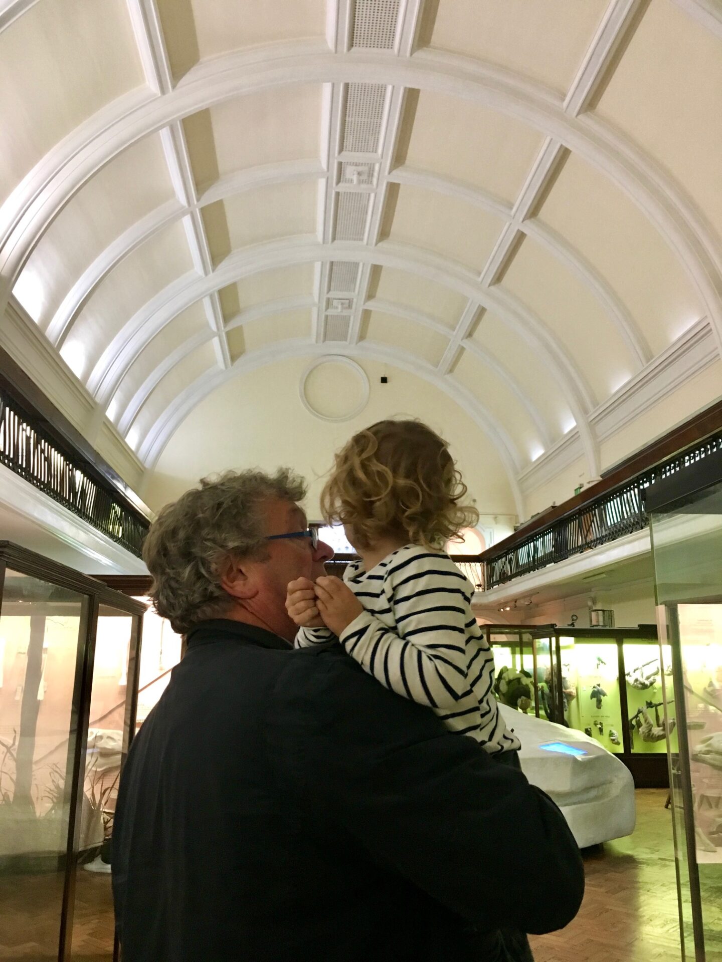 Inside the Horniman in south east London