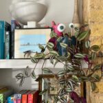 how to make googly eyes for your house plants