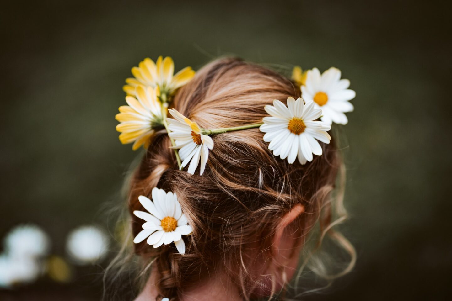 Nicknames For Daisy: 41+ Of The Best Daisy Nicknames
