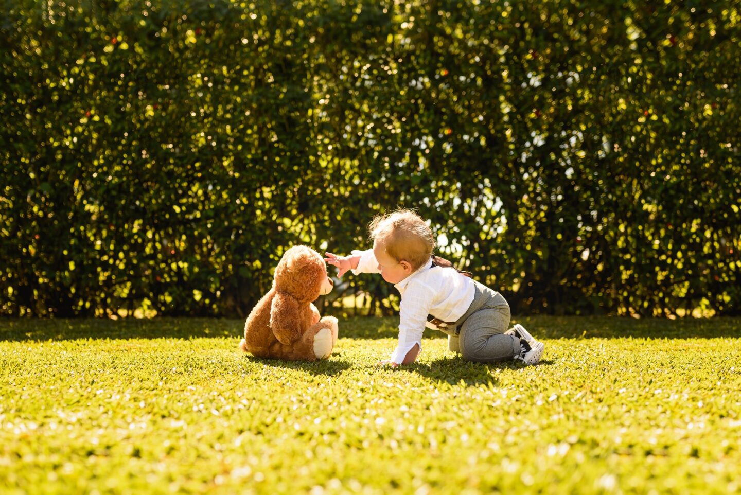 Nicknames for Edward - the best Edward nicknames including Ed, Ted and Teddy