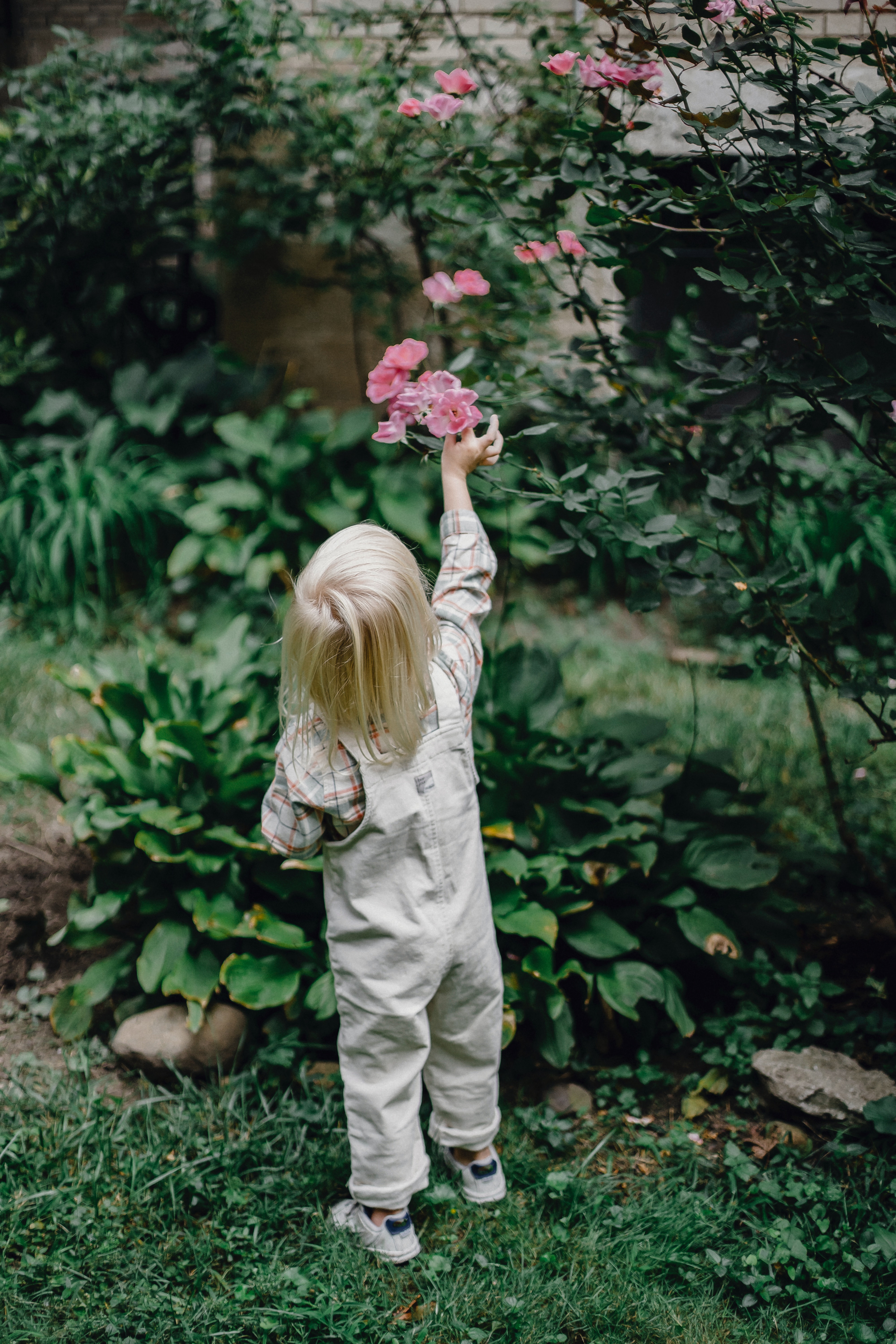 Nicknames for Grace - best Grace nicknames