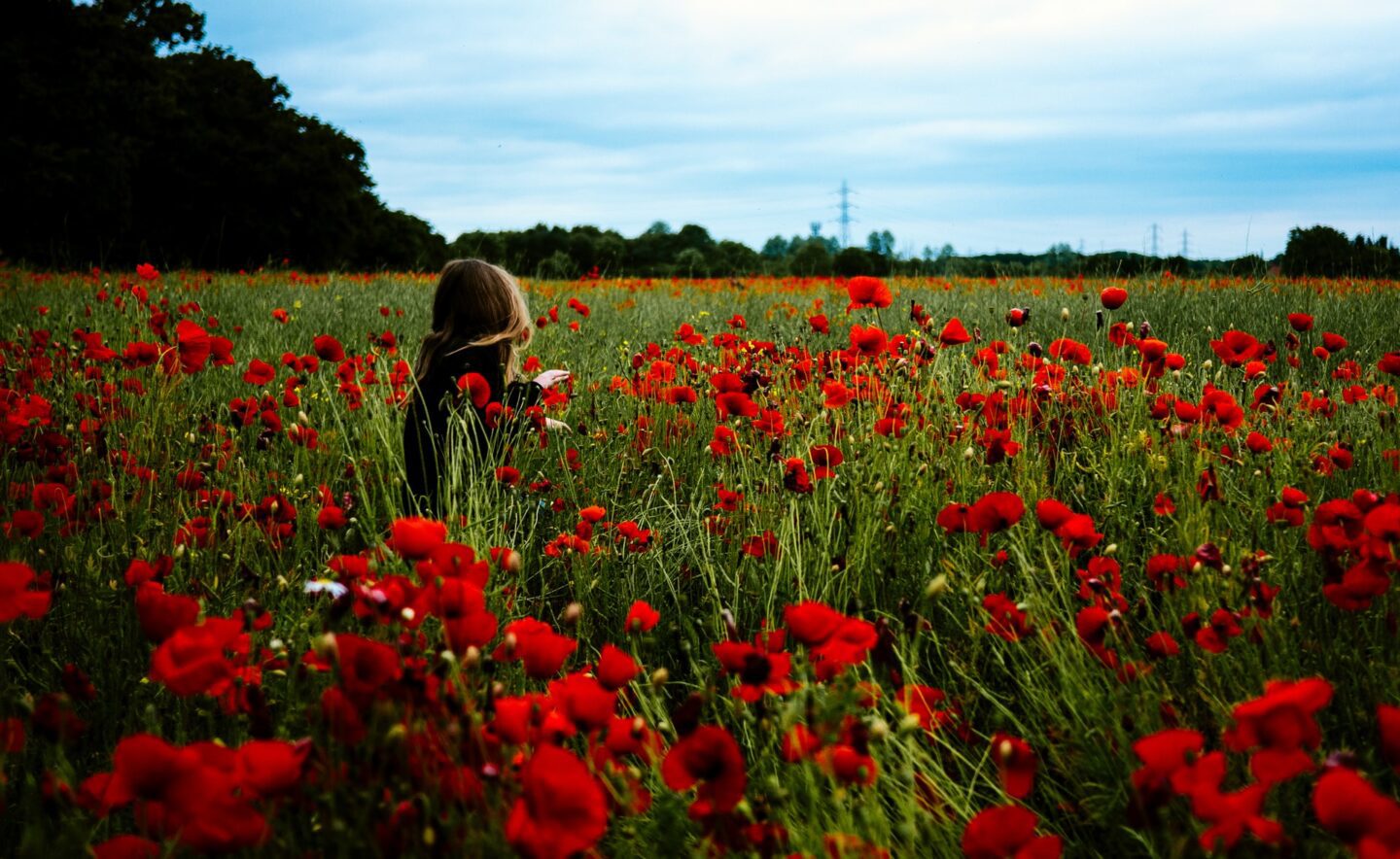 Nicknames For Poppy: 31+ Of The Best Poppy Nicknames