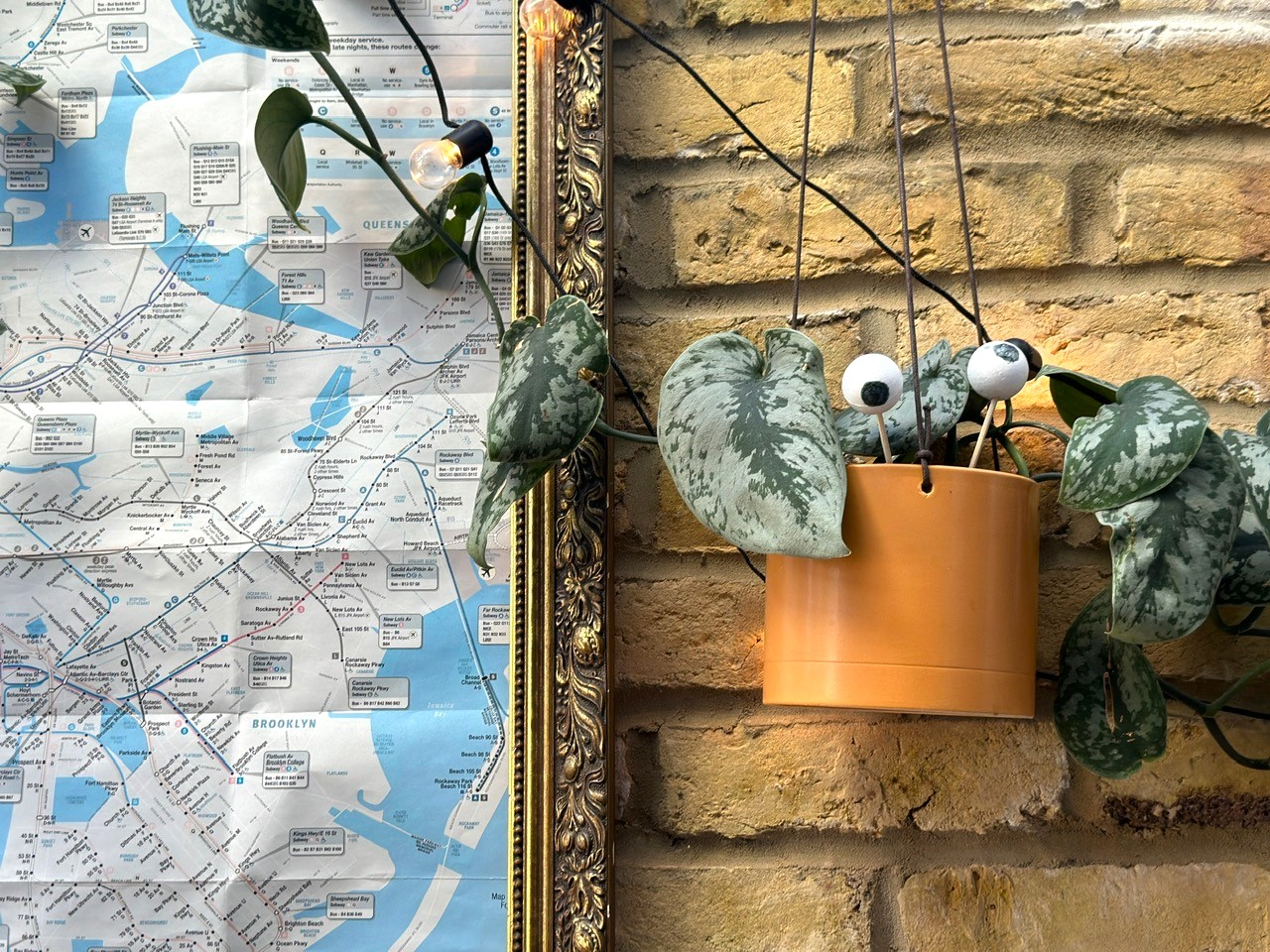 Halloween decorations for plants - googly eyes