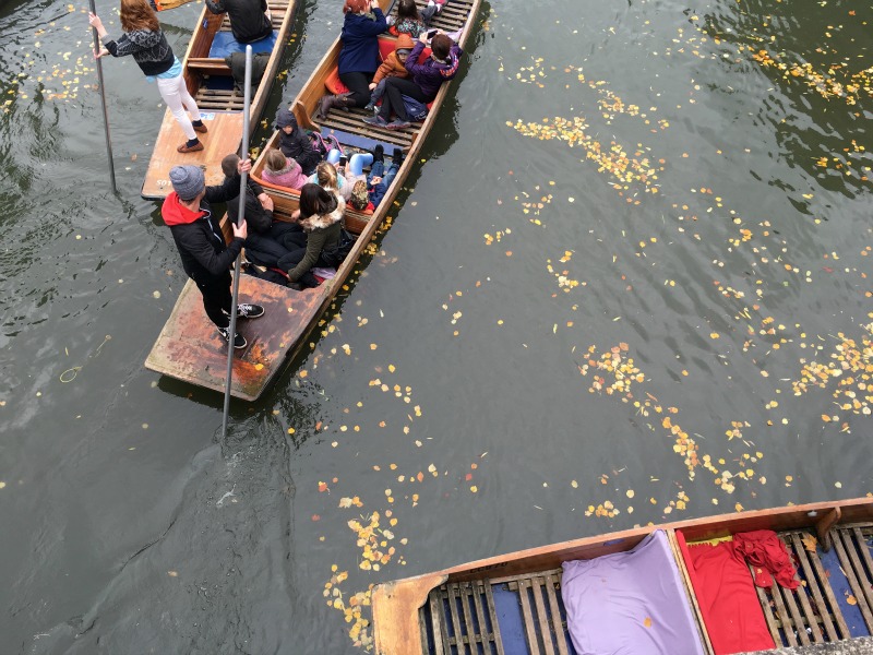 Punting on the River cam, Cambridge