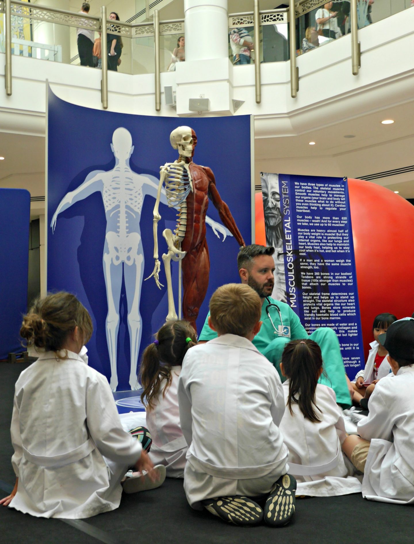 Skeleton at The Glades Heads, Shoulders, Knees and Toes event 