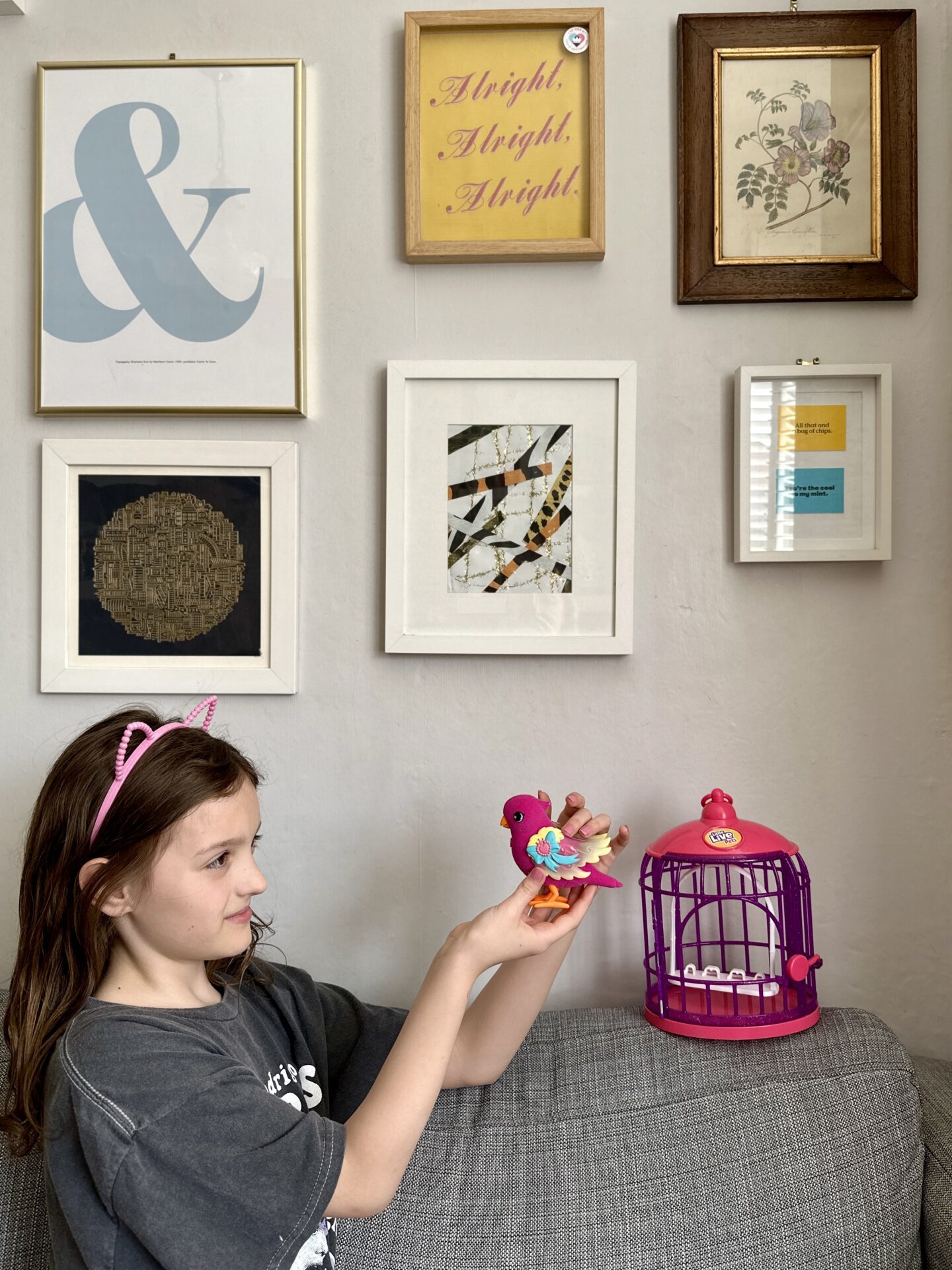 Little Live Pets - Tiana Twinkles talking bird