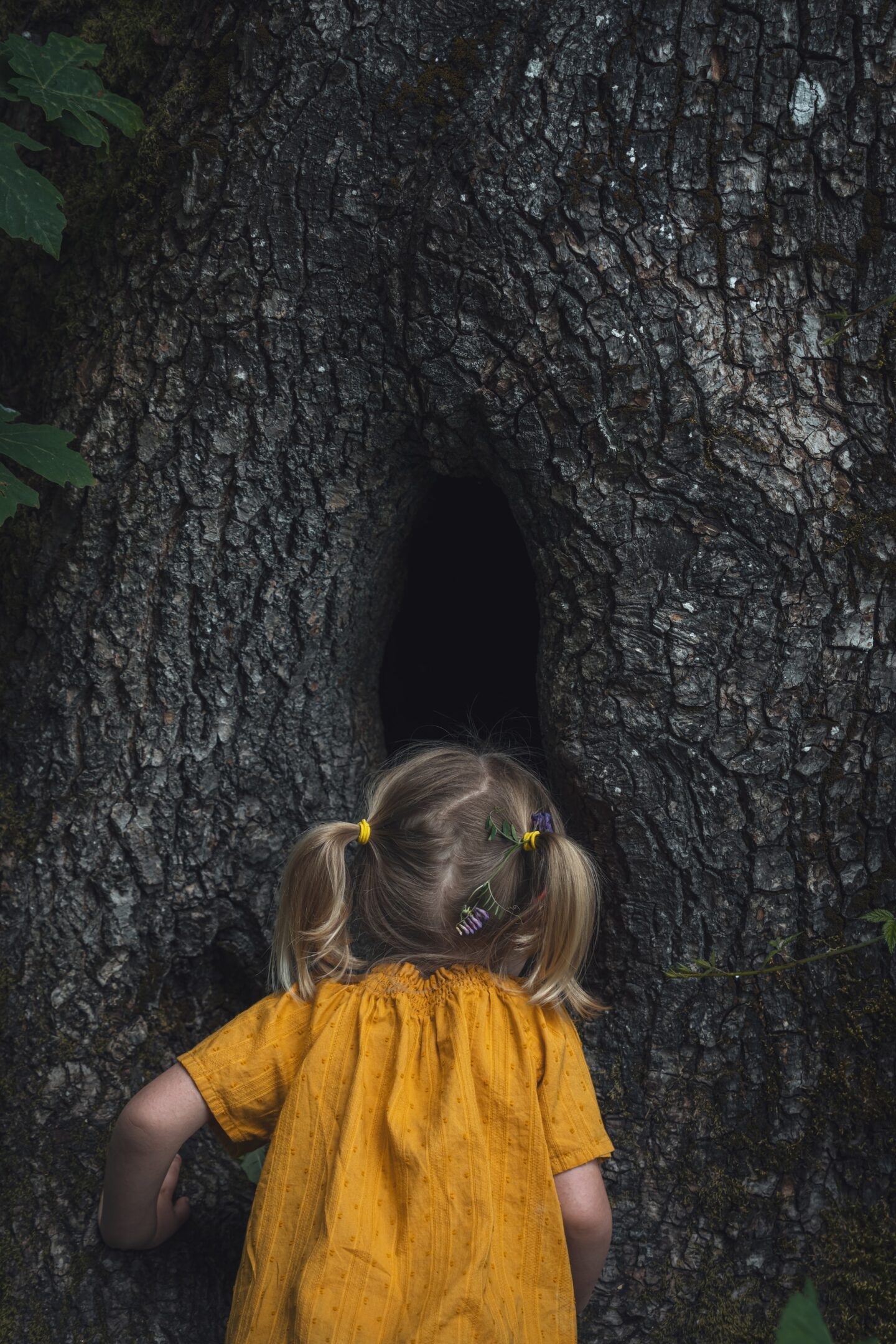 Willow meaning - what does the name Willow mean?